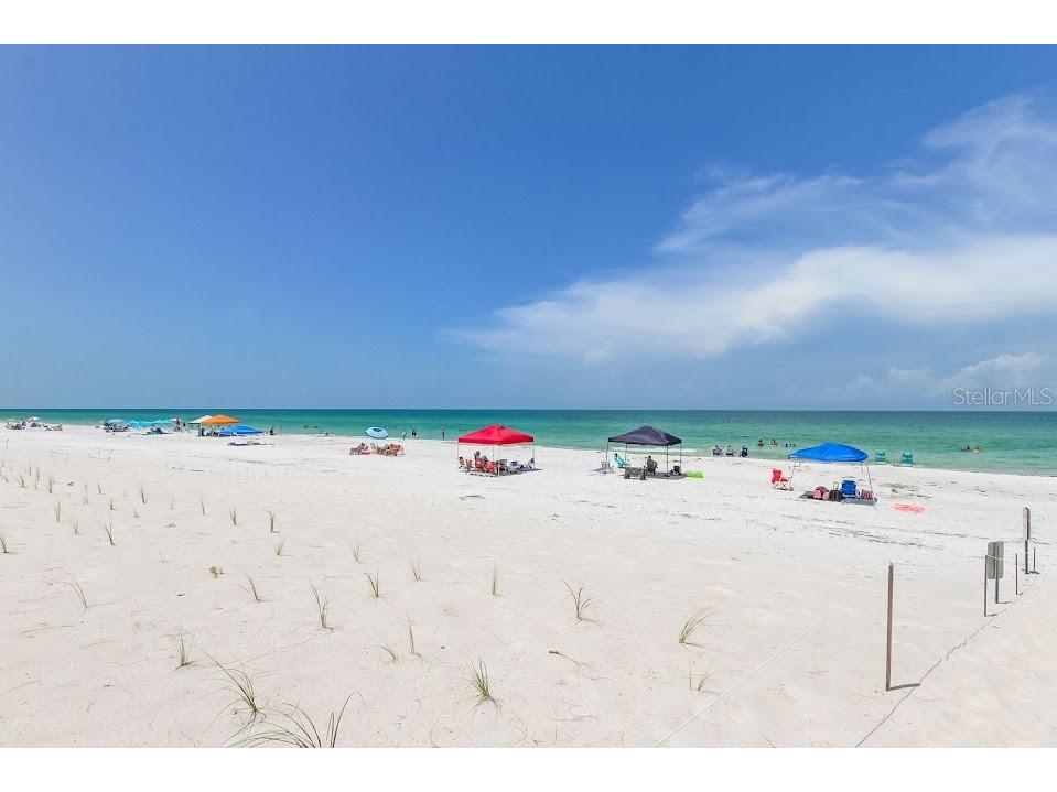 19816 Gulf Boulevard #201 Indian Shores FL 33785 - GULF TB8484897 image51