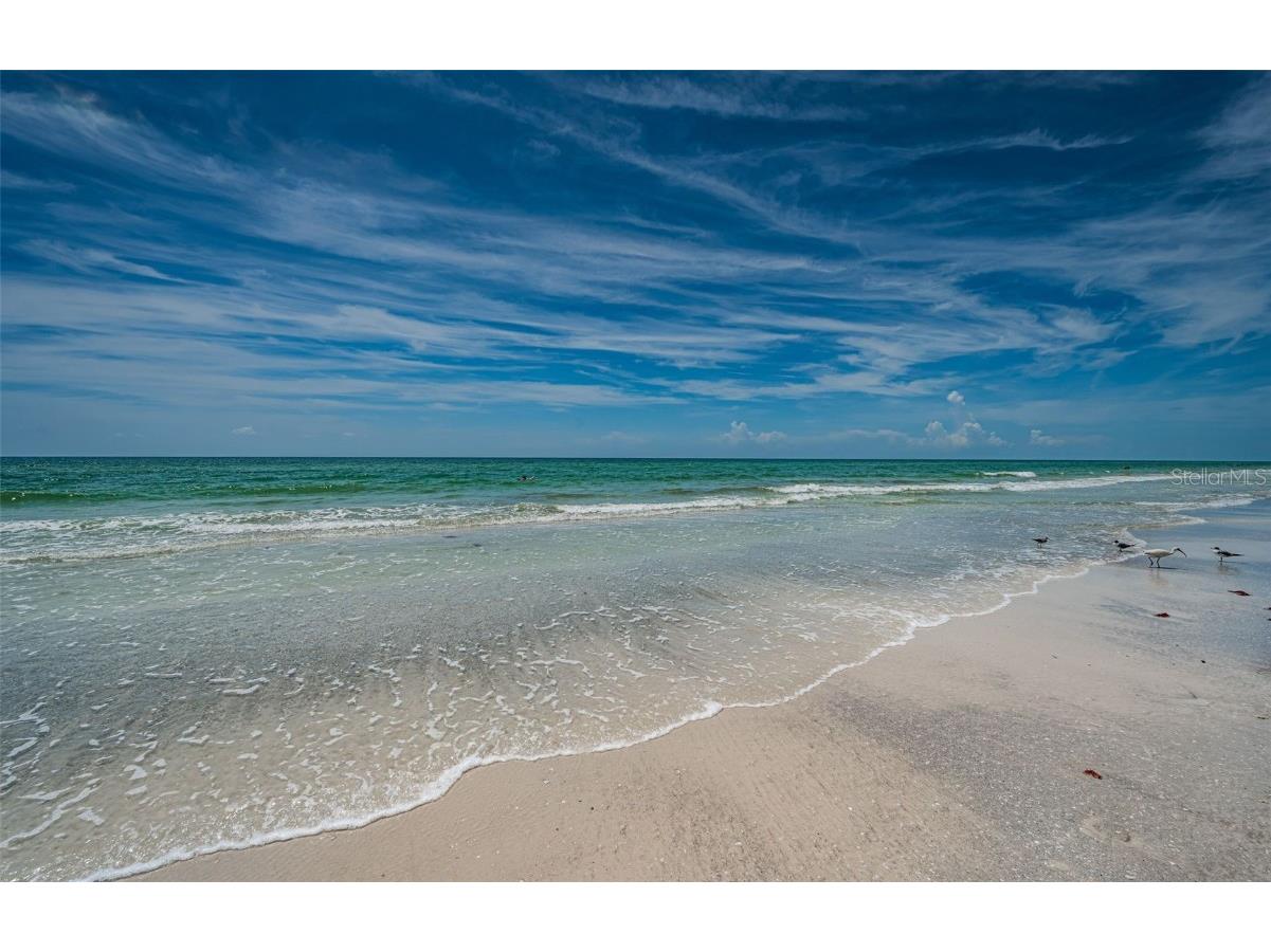 19816 Gulf Boulevard #502 Indian Shores FL 33785 - GULF TB8412005 image48