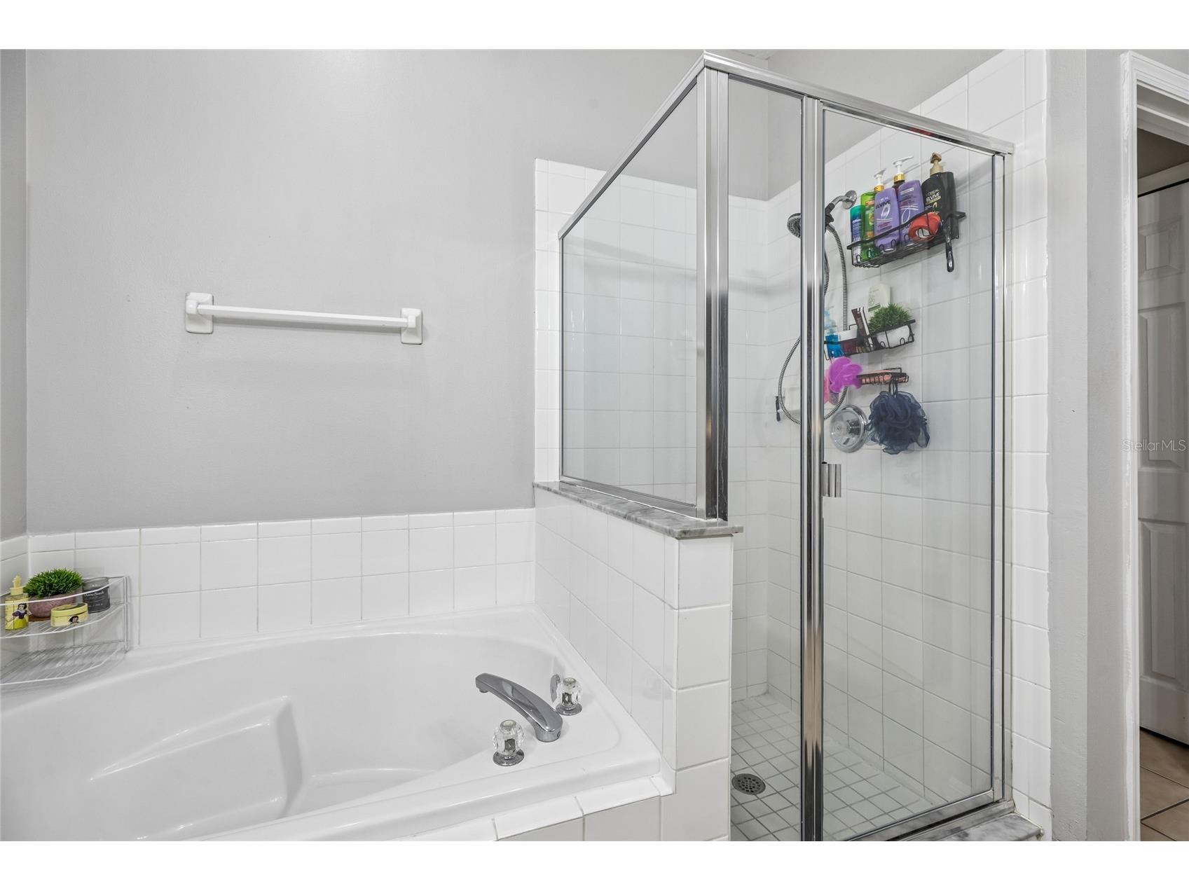 1982 Locust Berry Drive Kissimmee FL 34743 S5150591 image31