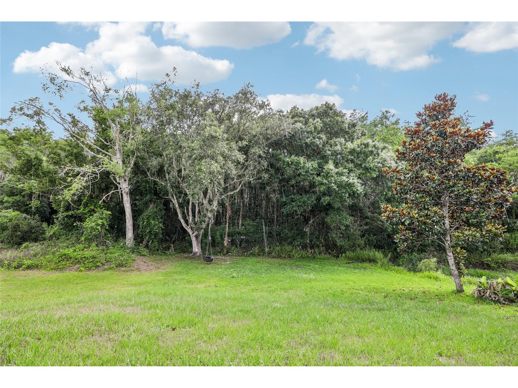 1982 Locust Berry Drive Kissimmee FL 34743 S5150591 image48