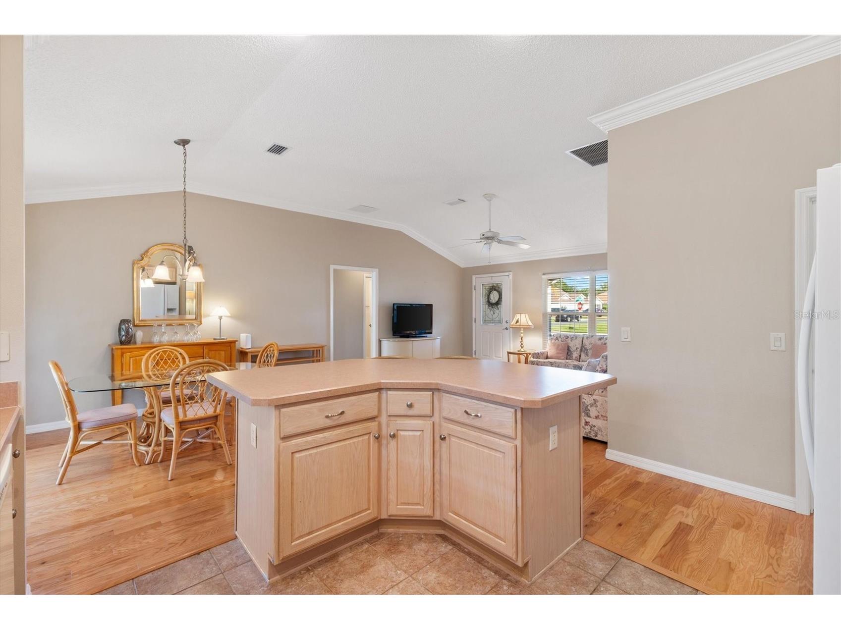 1982 Somerset Avenue The Villages FL 32162 OM722473 image10