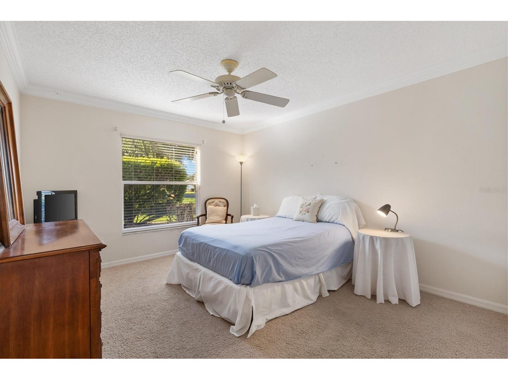 1982 Somerset Avenue The Villages FL 32162 OM722473 image18