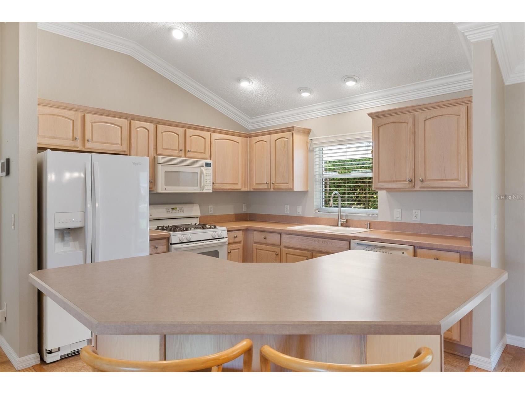 1982 Somerset Avenue The Villages FL 32162 OM722473 image6