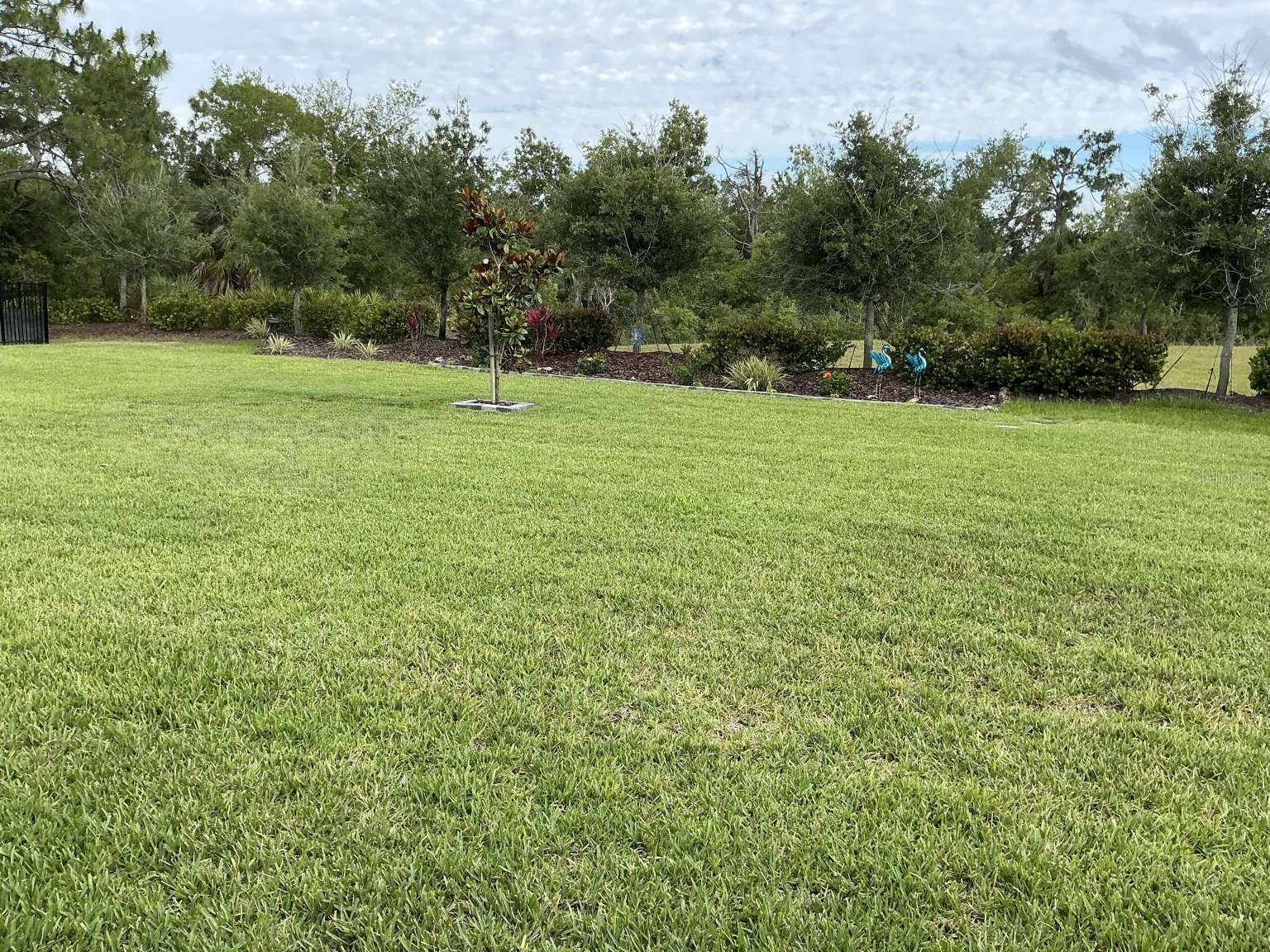 1982 W Palms Drive Port Charlotte FL 33953 TB8509605 image51