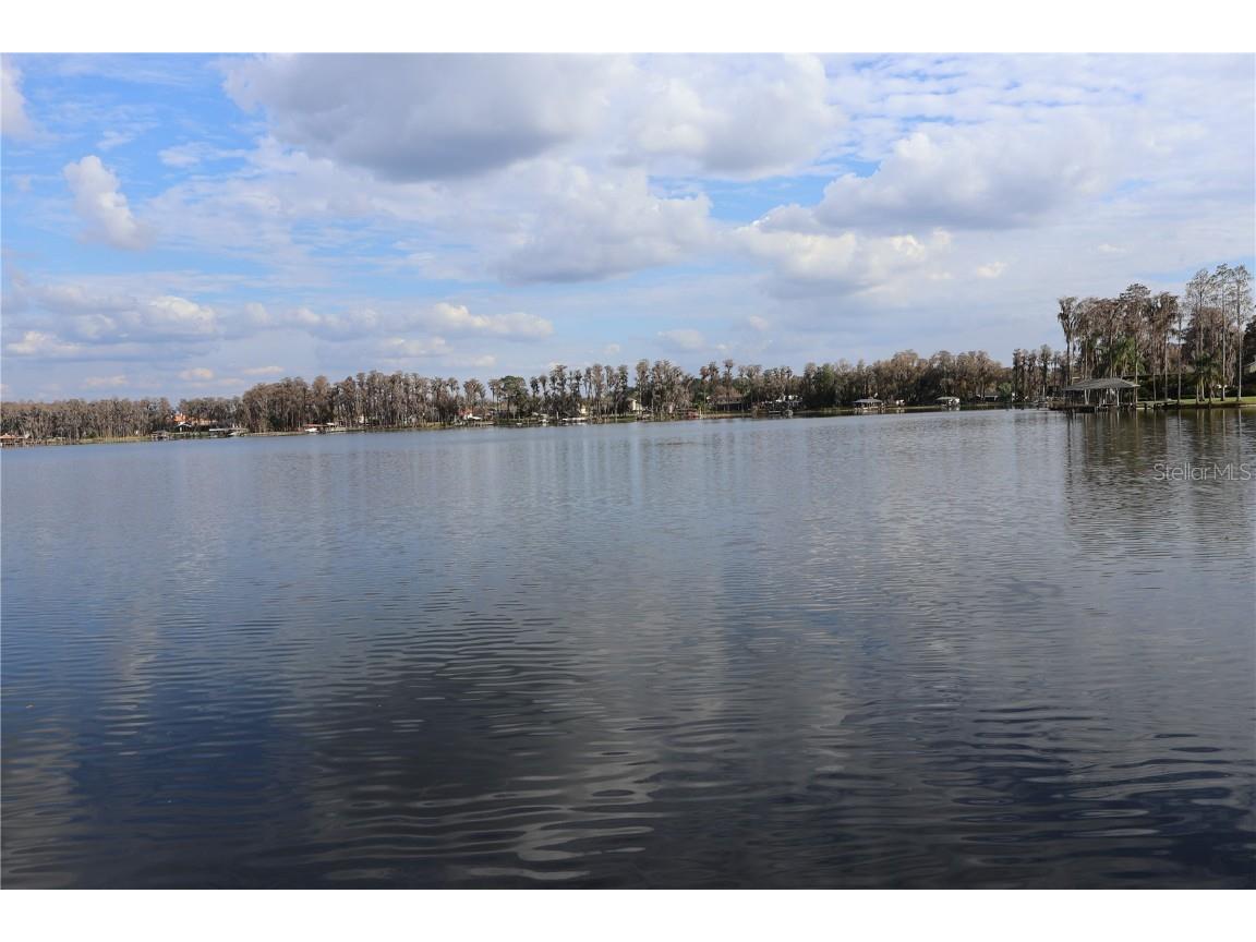 19821 Gunn Highway Odessa FL 33556 - LAKE OCEOLA U8231211 image1