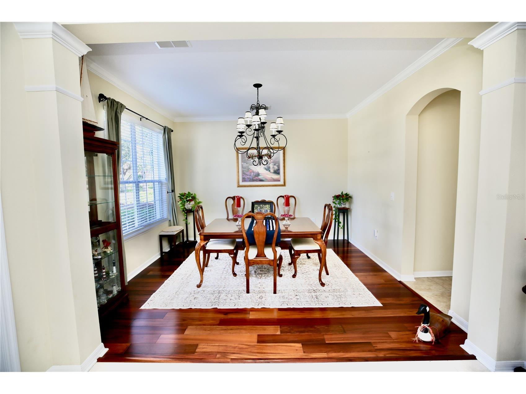 19822 Prince Benjamin Drive Lutz FL 33549 TB8468732 image11