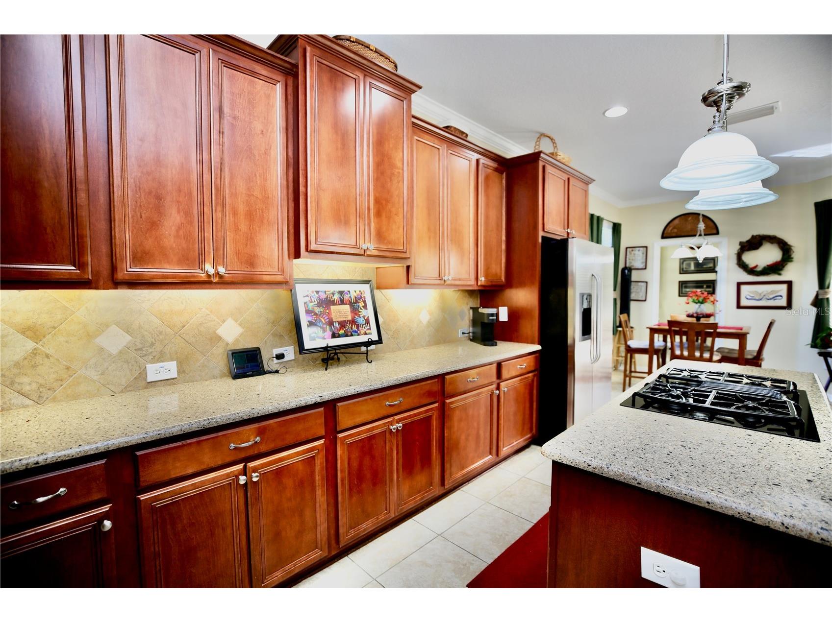 19822 Prince Benjamin Drive Lutz FL 33549 TB8468732 image21