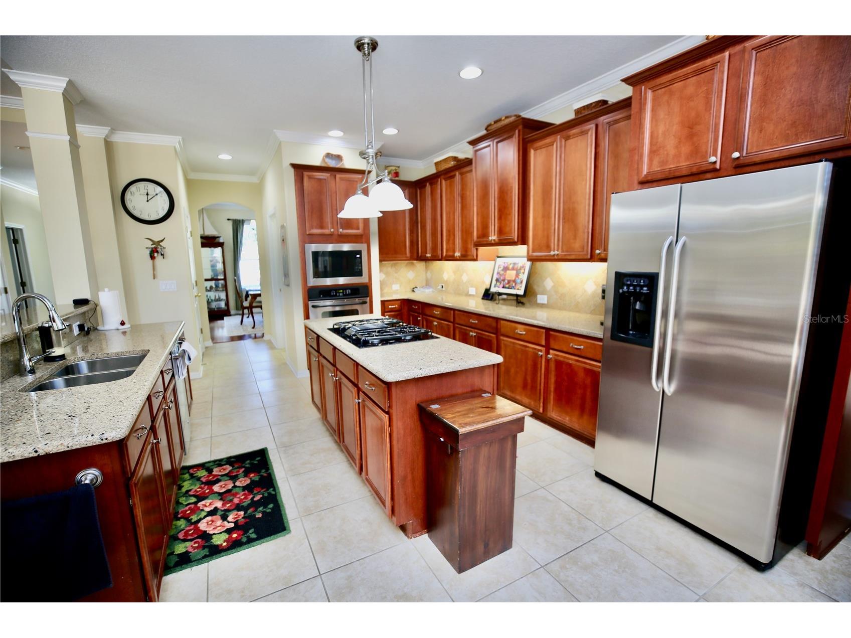 19822 Prince Benjamin Drive Lutz FL 33549 TB8468732 image22