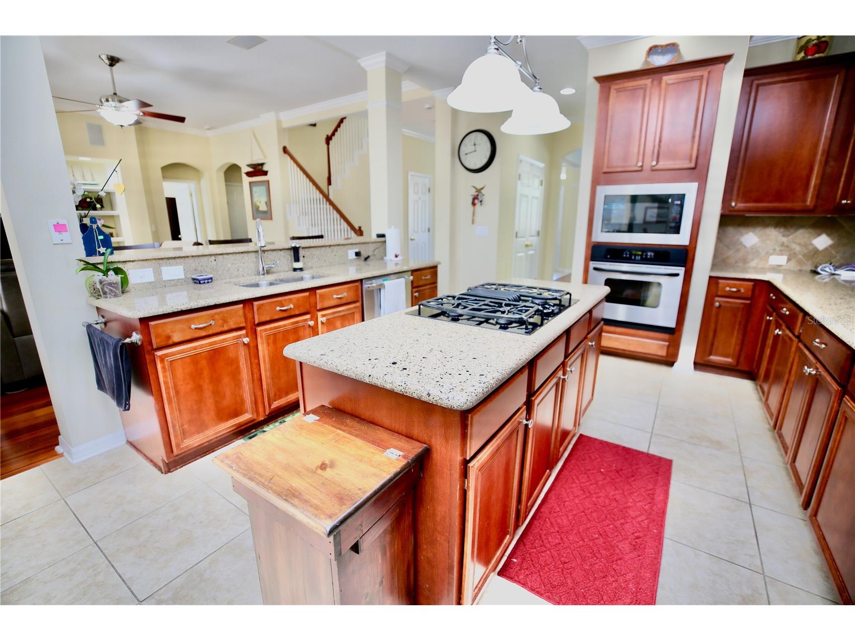 19822 Prince Benjamin Drive Lutz FL 33549 TB8468732 image26