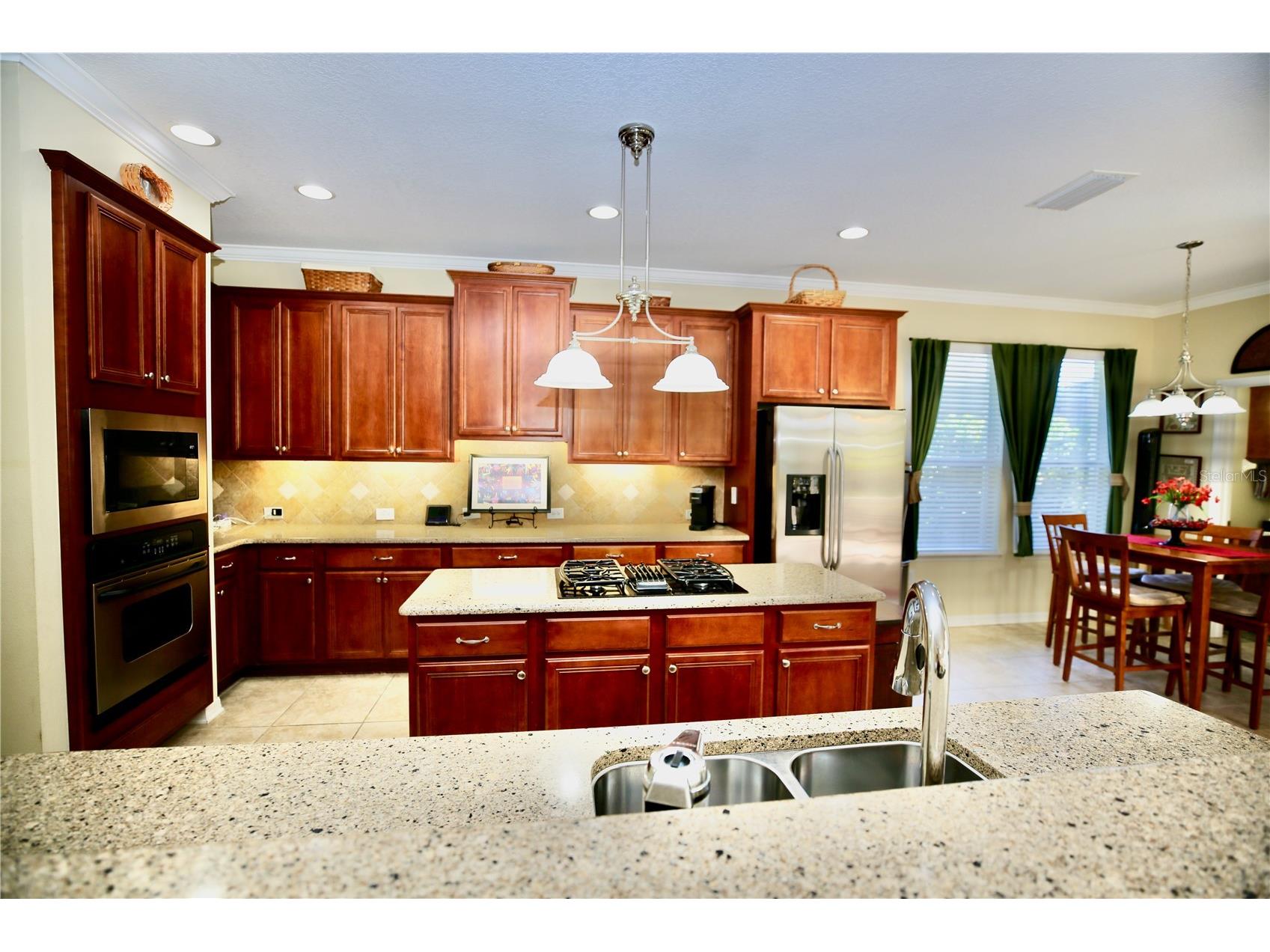 19822 Prince Benjamin Drive Lutz FL 33549 TB8468732 image28