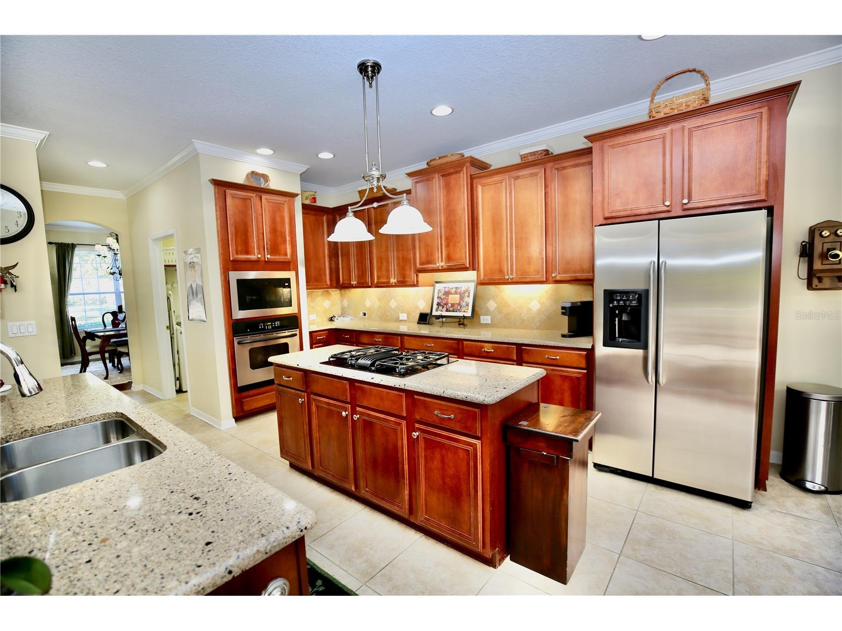 19822 Prince Benjamin Drive Lutz FL 33549 TB8468732 image29