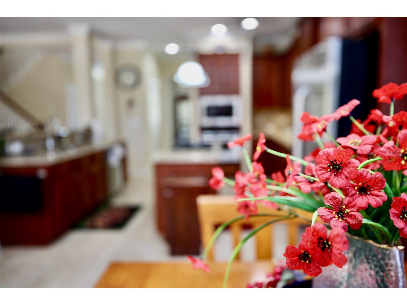 19822 Prince Benjamin Drive Lutz FL 33549 TB8468732 image30