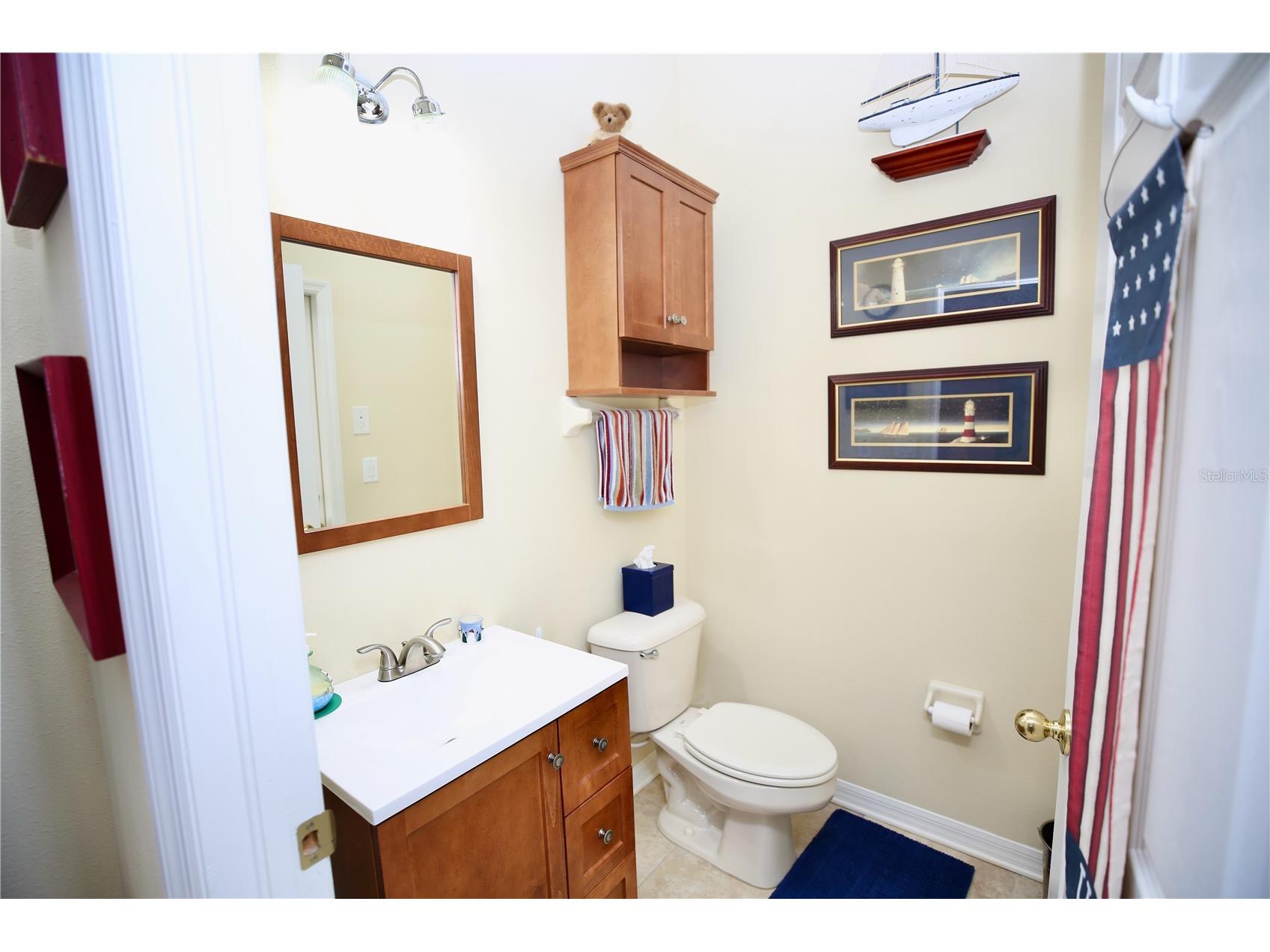 19822 Prince Benjamin Drive Lutz FL 33549 TB8468732 image35