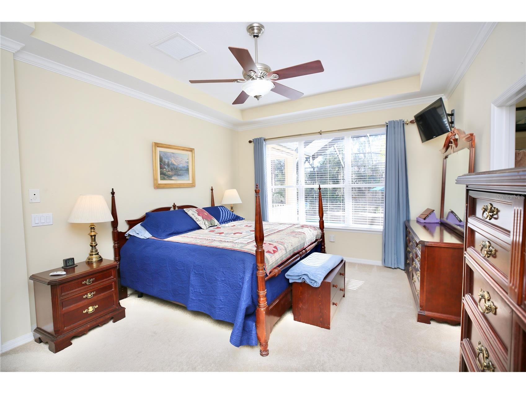 19822 Prince Benjamin Drive Lutz FL 33549 TB8468732 image37