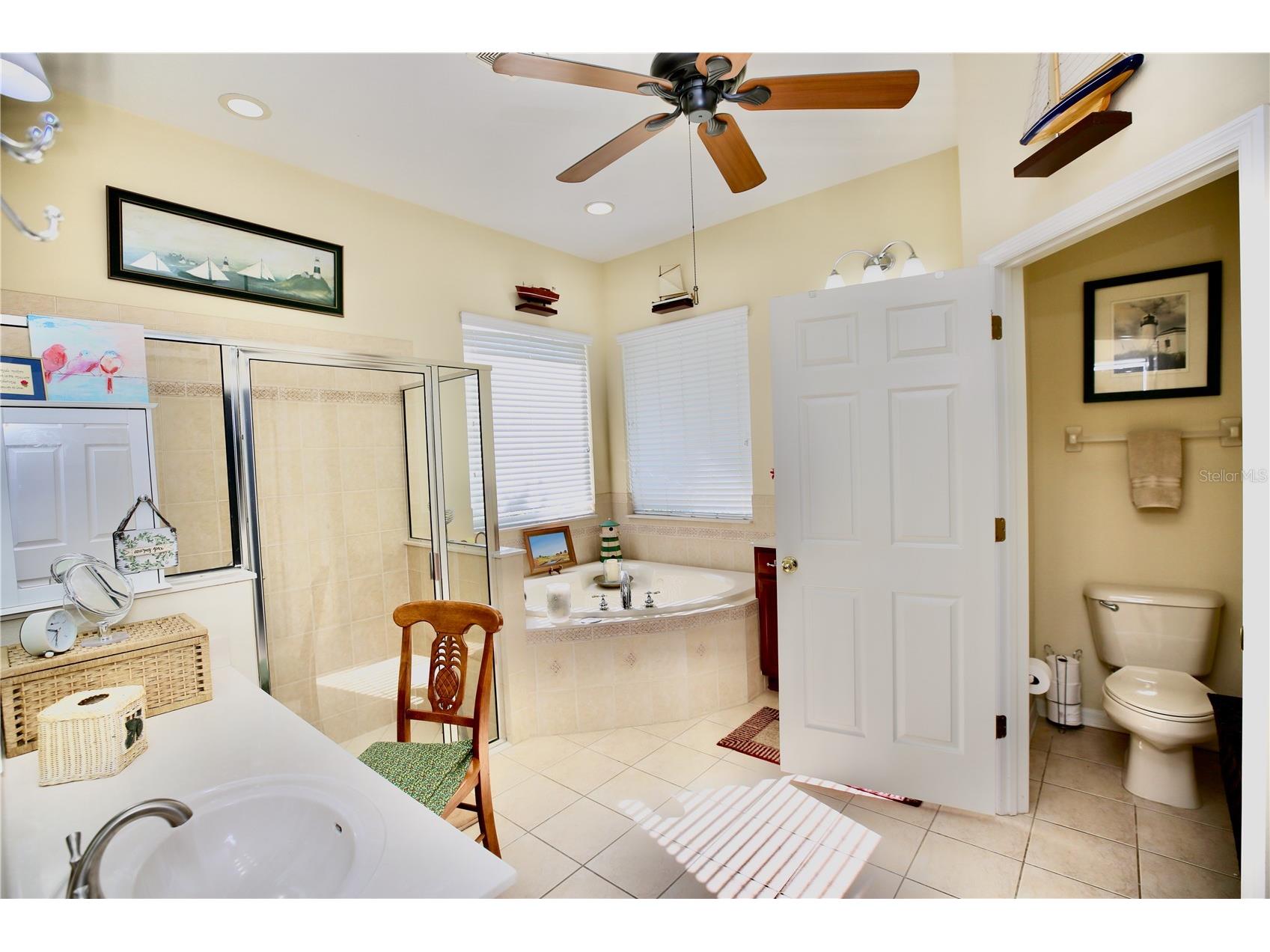 19822 Prince Benjamin Drive Lutz FL 33549 TB8468732 image38