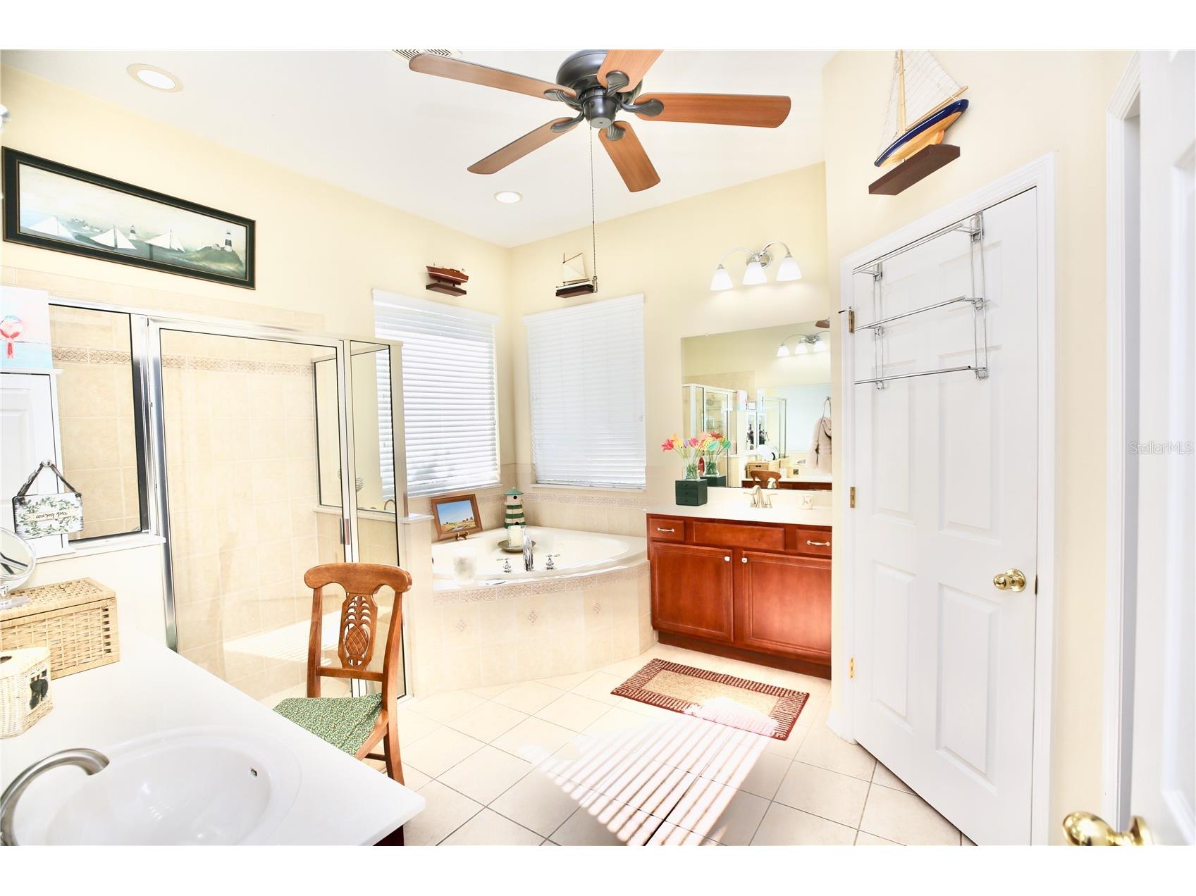 19822 Prince Benjamin Drive Lutz FL 33549 TB8468732 image39