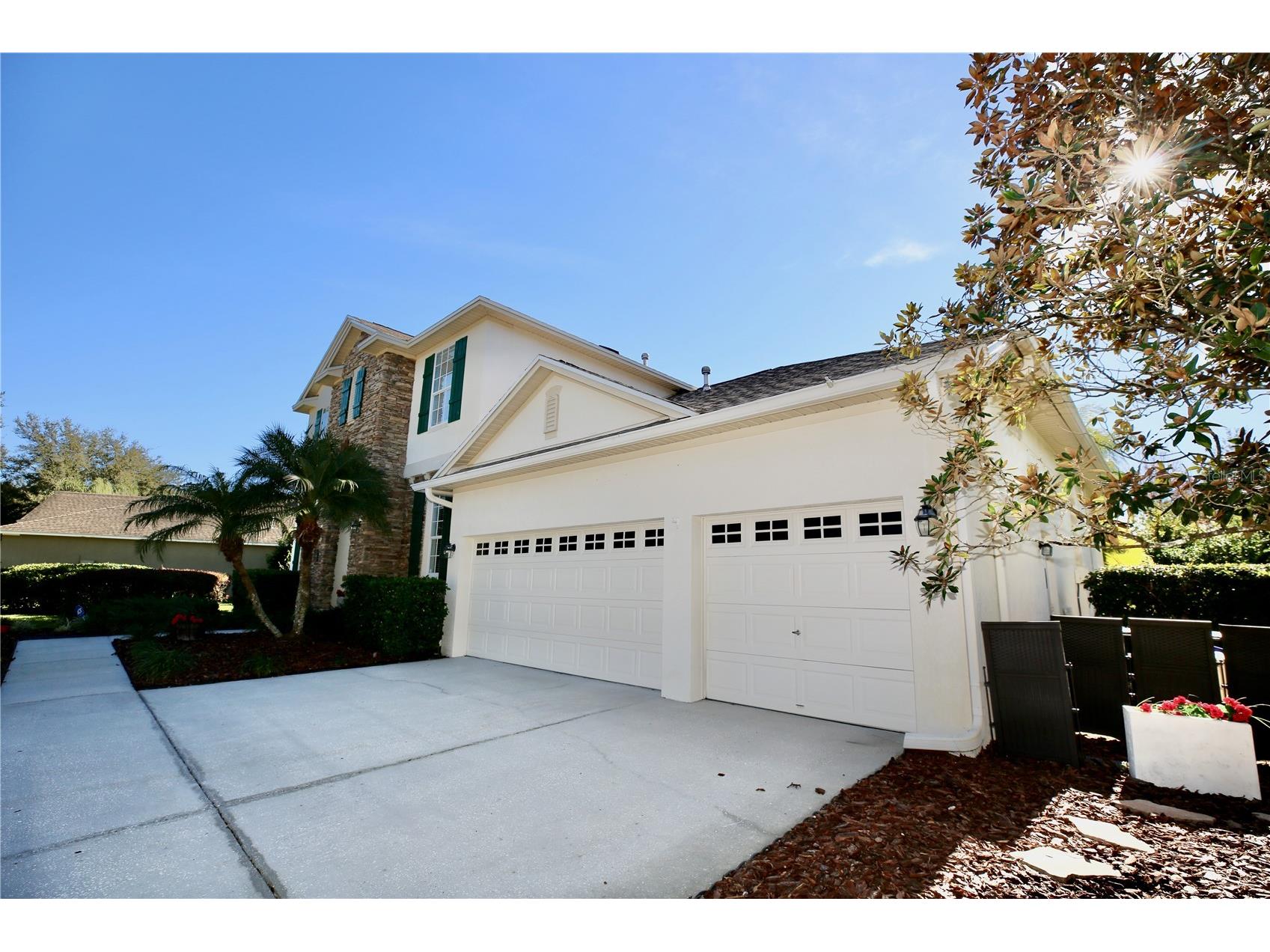 19822 Prince Benjamin Drive Lutz FL 33549 TB8468732 image4