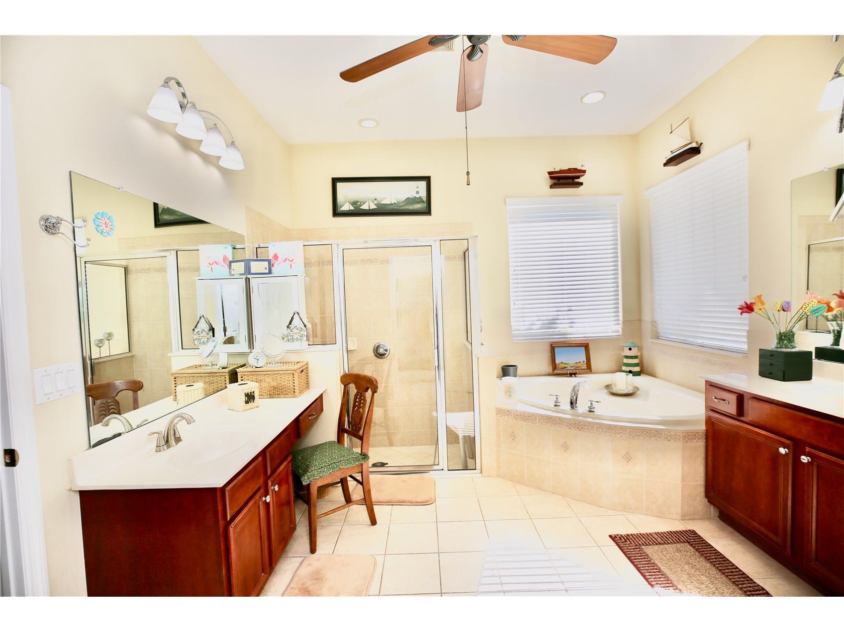 19822 Prince Benjamin Drive Lutz FL 33549 TB8468732 image41