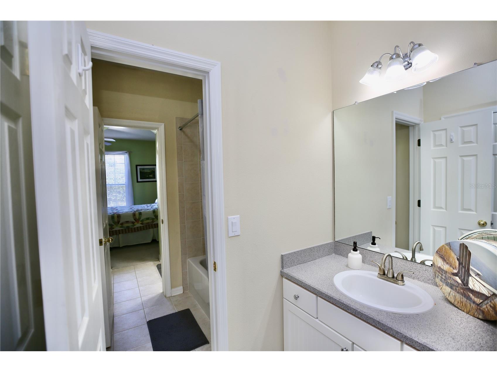 19822 Prince Benjamin Drive Lutz FL 33549 TB8468732 image49