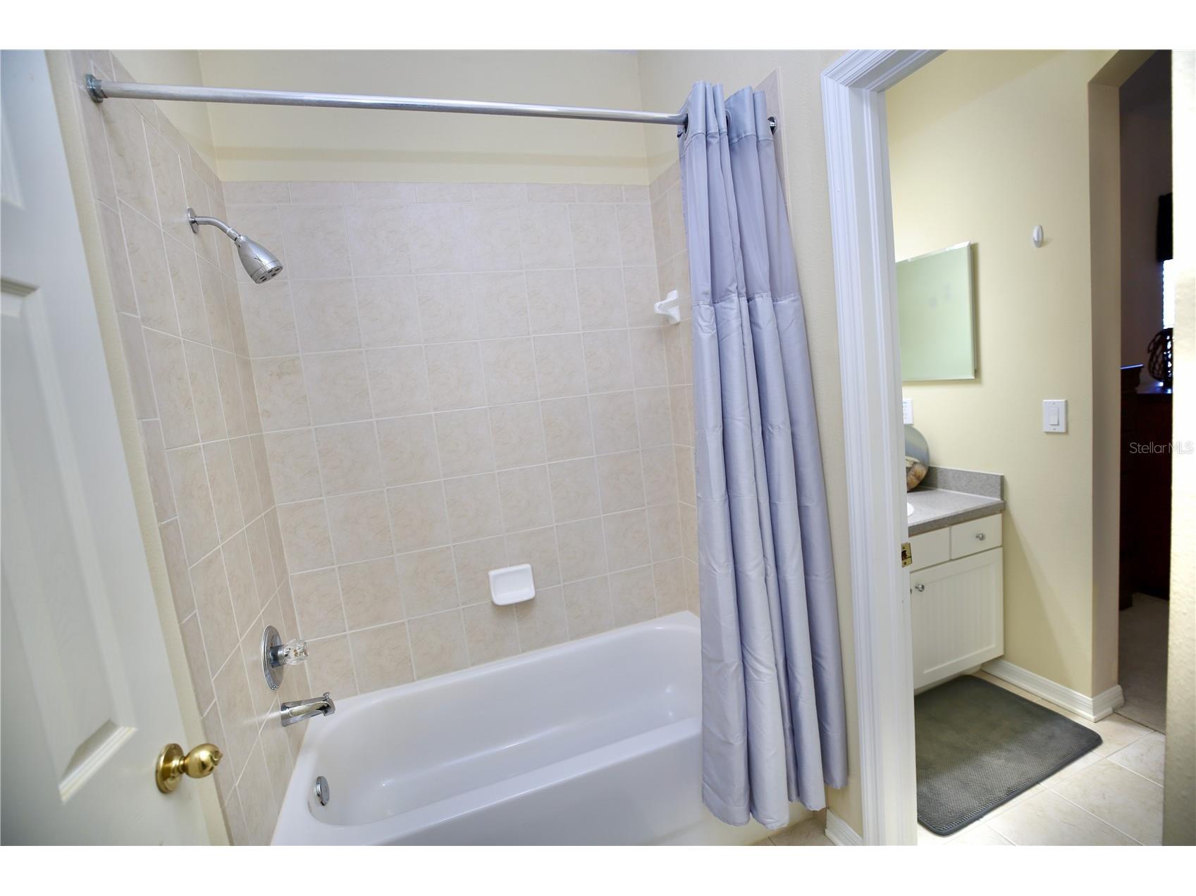 19822 Prince Benjamin Drive Lutz FL 33549 TB8468732 image51