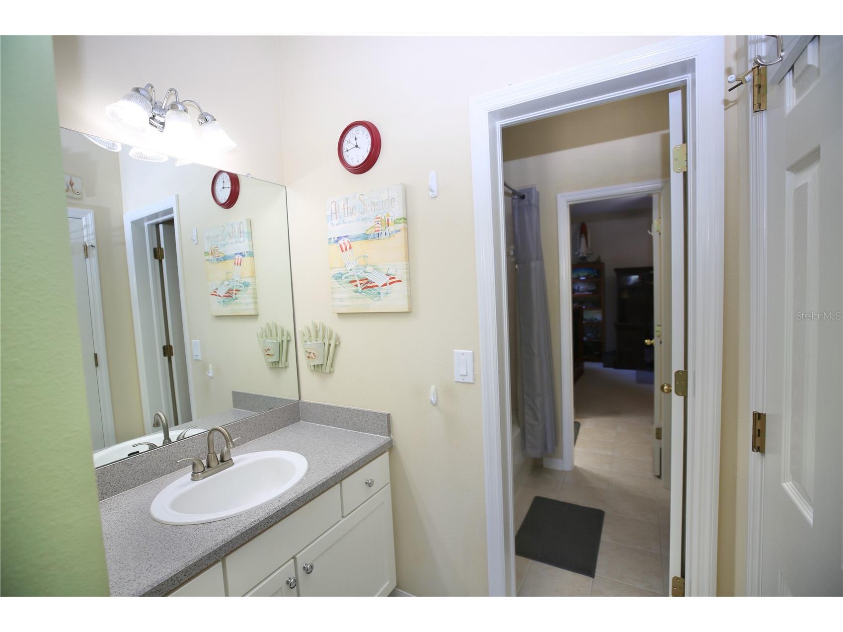 19822 Prince Benjamin Drive Lutz FL 33549 TB8468732 image53