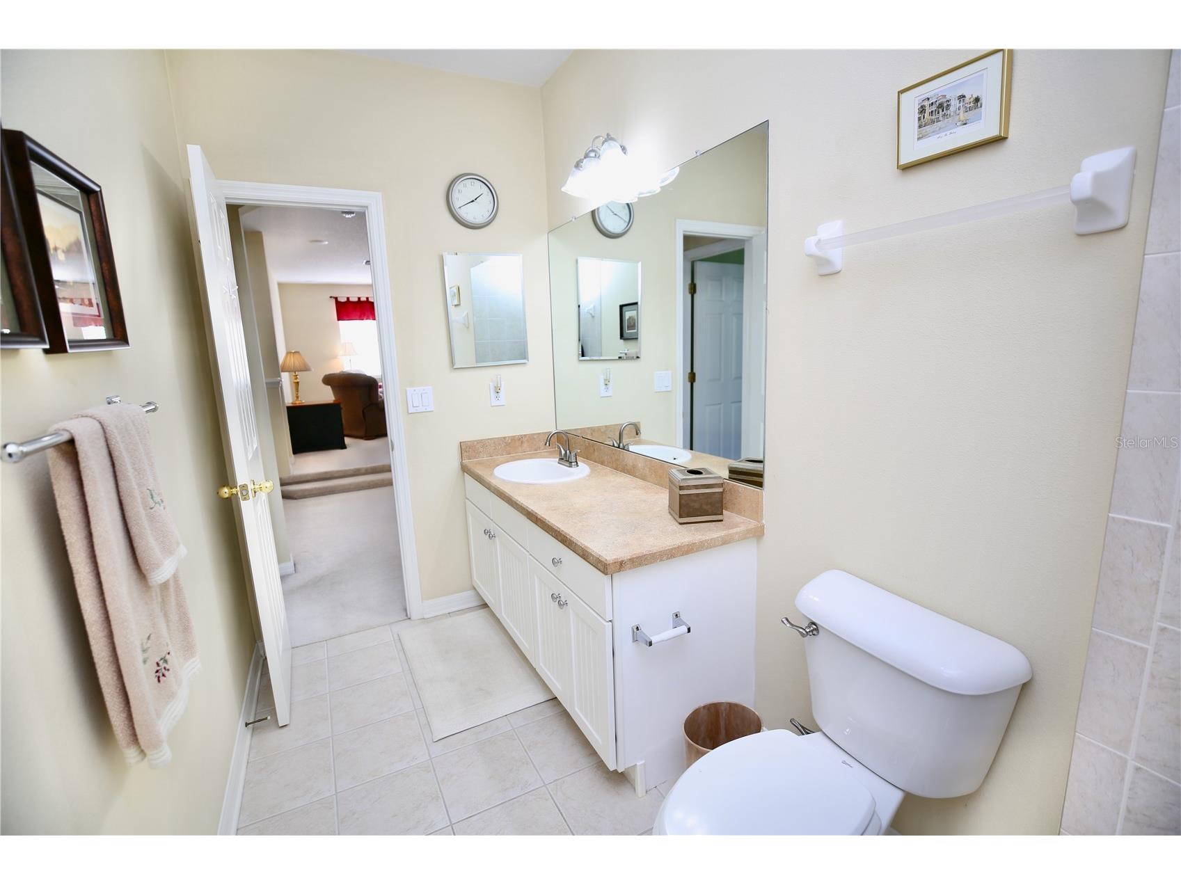 19822 Prince Benjamin Drive Lutz FL 33549 TB8468732 image60