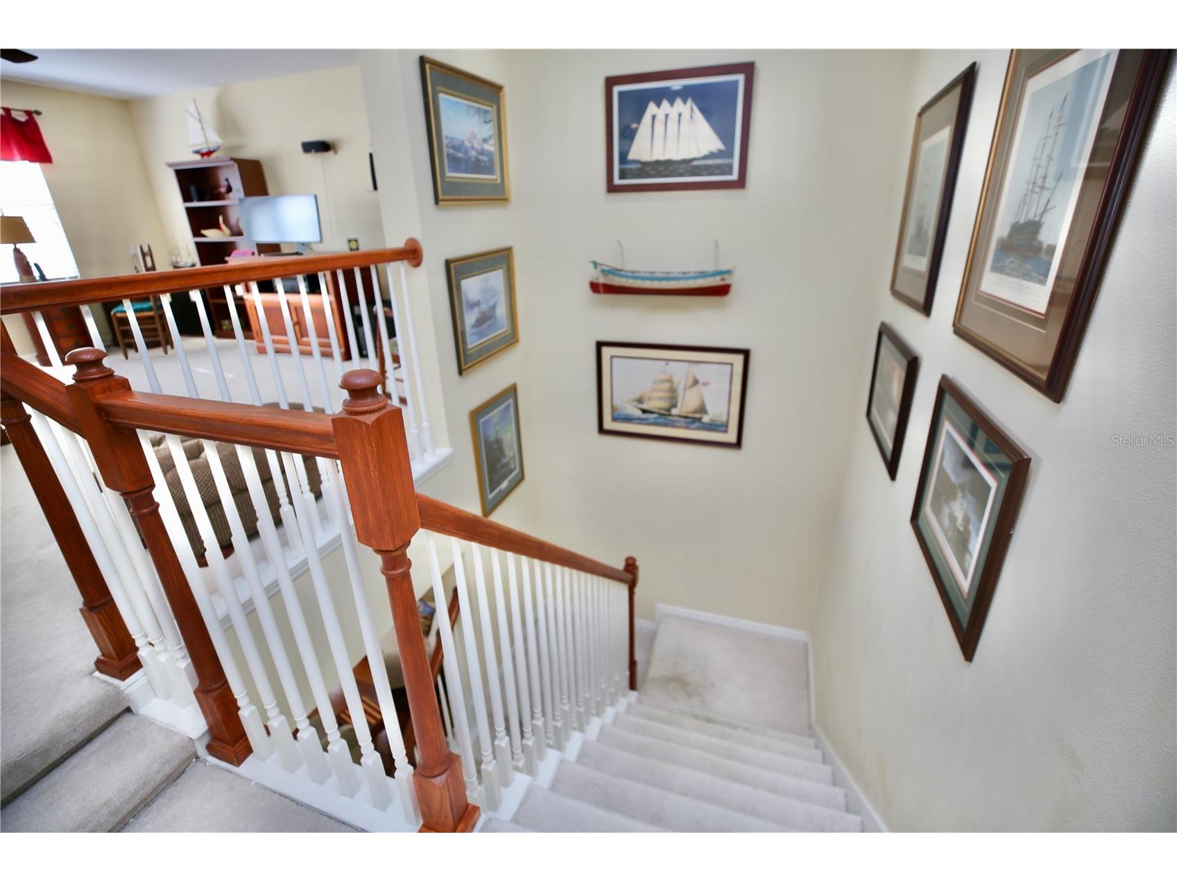 19822 Prince Benjamin Drive Lutz FL 33549 TB8468732 image61