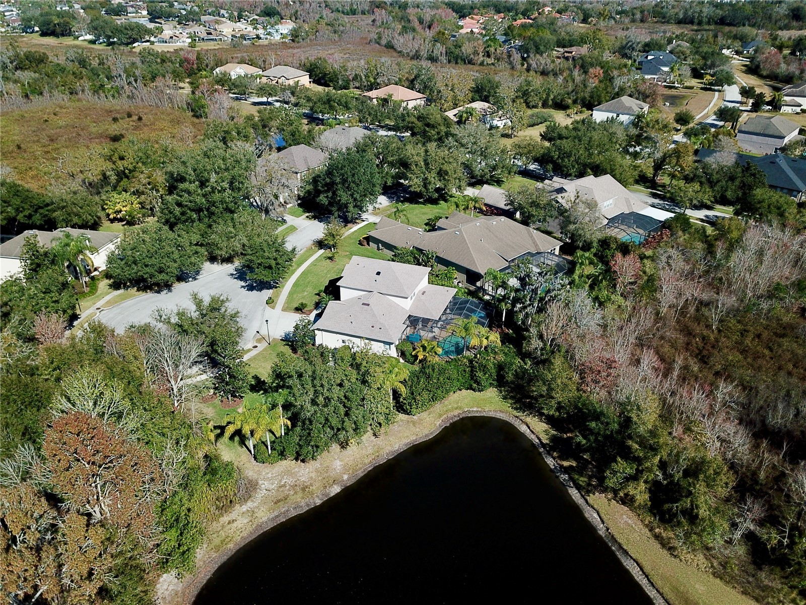 19822 Prince Benjamin Drive Lutz FL 33549 TB8468732 image75