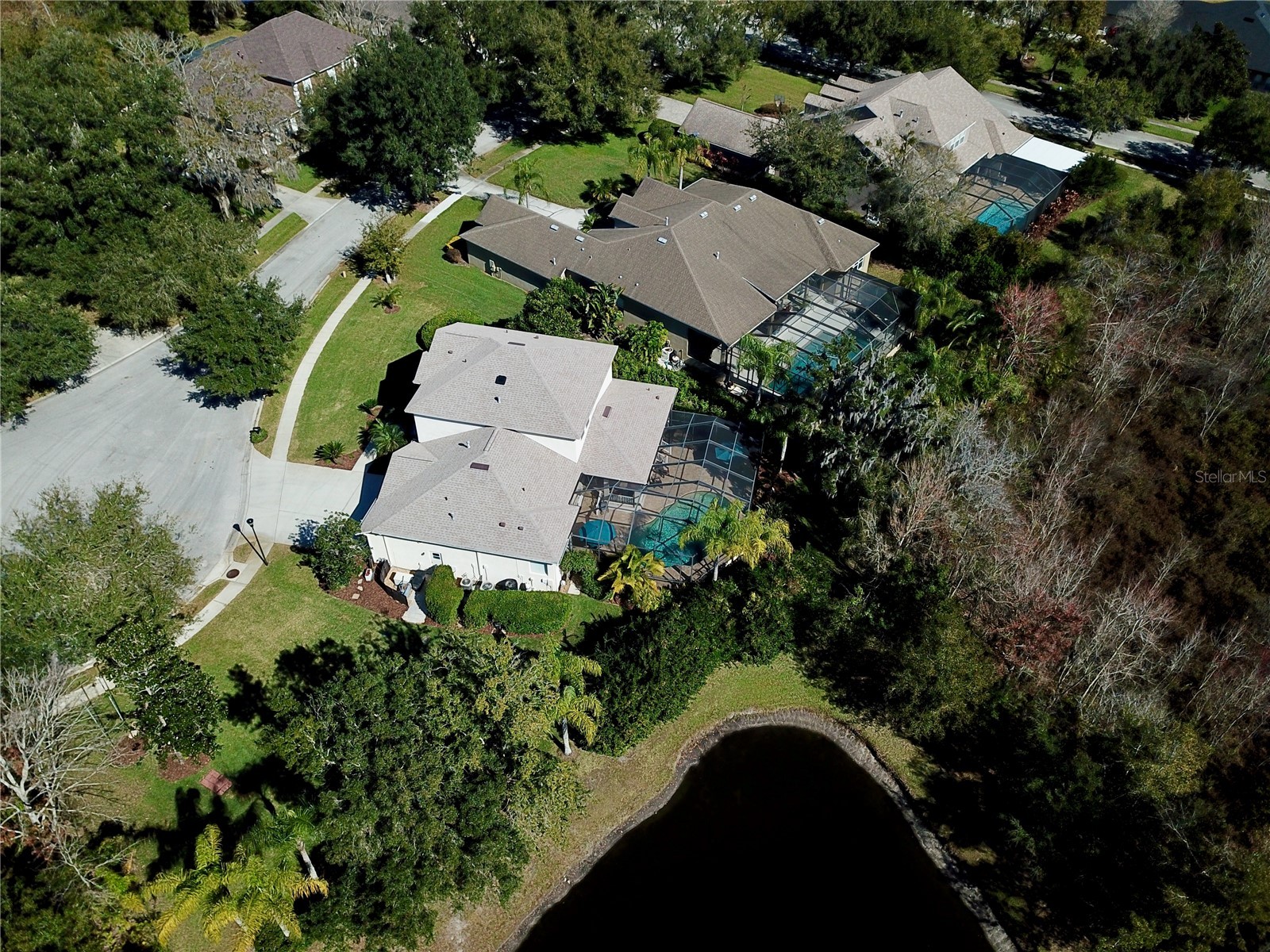 19822 Prince Benjamin Drive Lutz FL 33549 TB8468732 image76