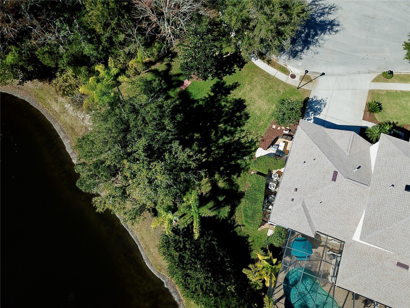 19822 Prince Benjamin Drive Lutz FL 33549 TB8468732 image80