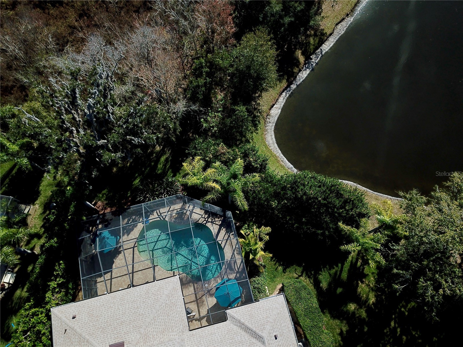 19822 Prince Benjamin Drive Lutz FL 33549 TB8468732 image81