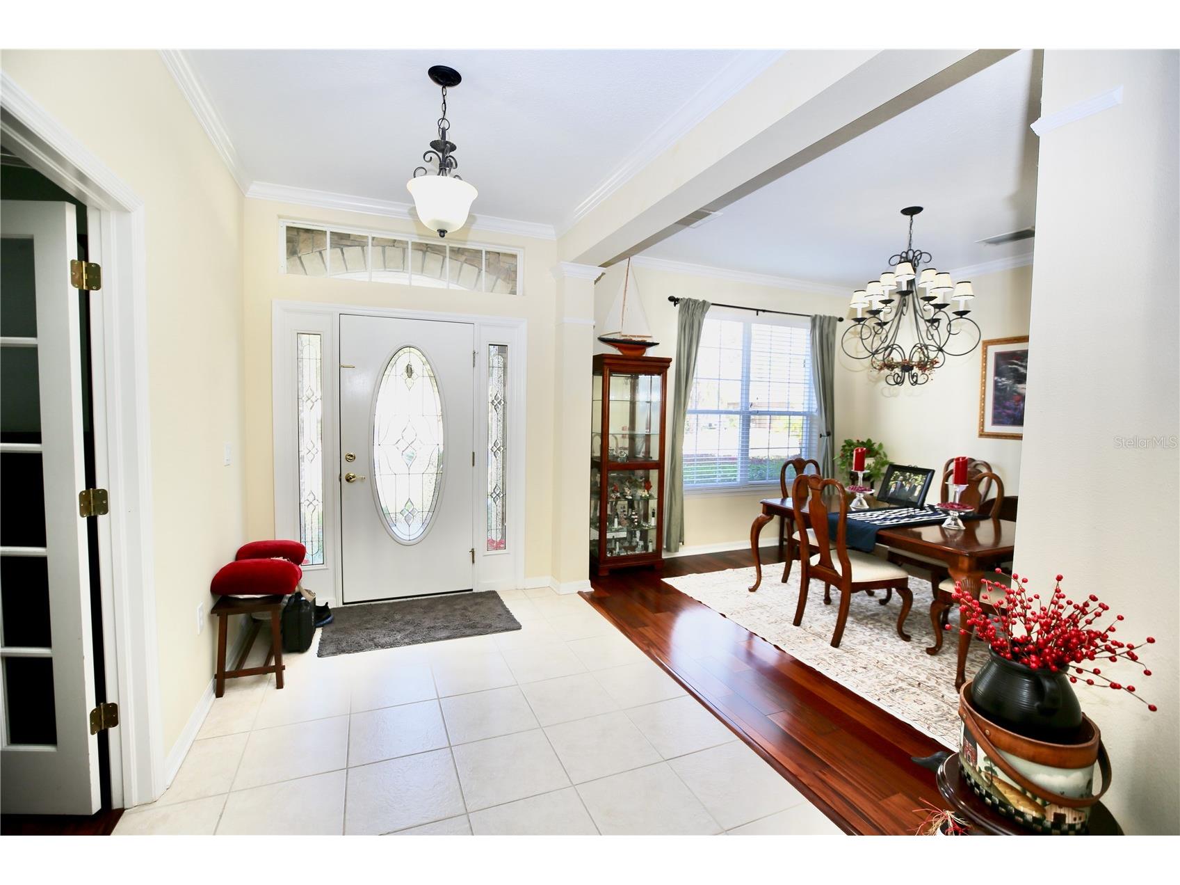 19822 Prince Benjamin Drive Lutz FL 33549 TB8468732 image9