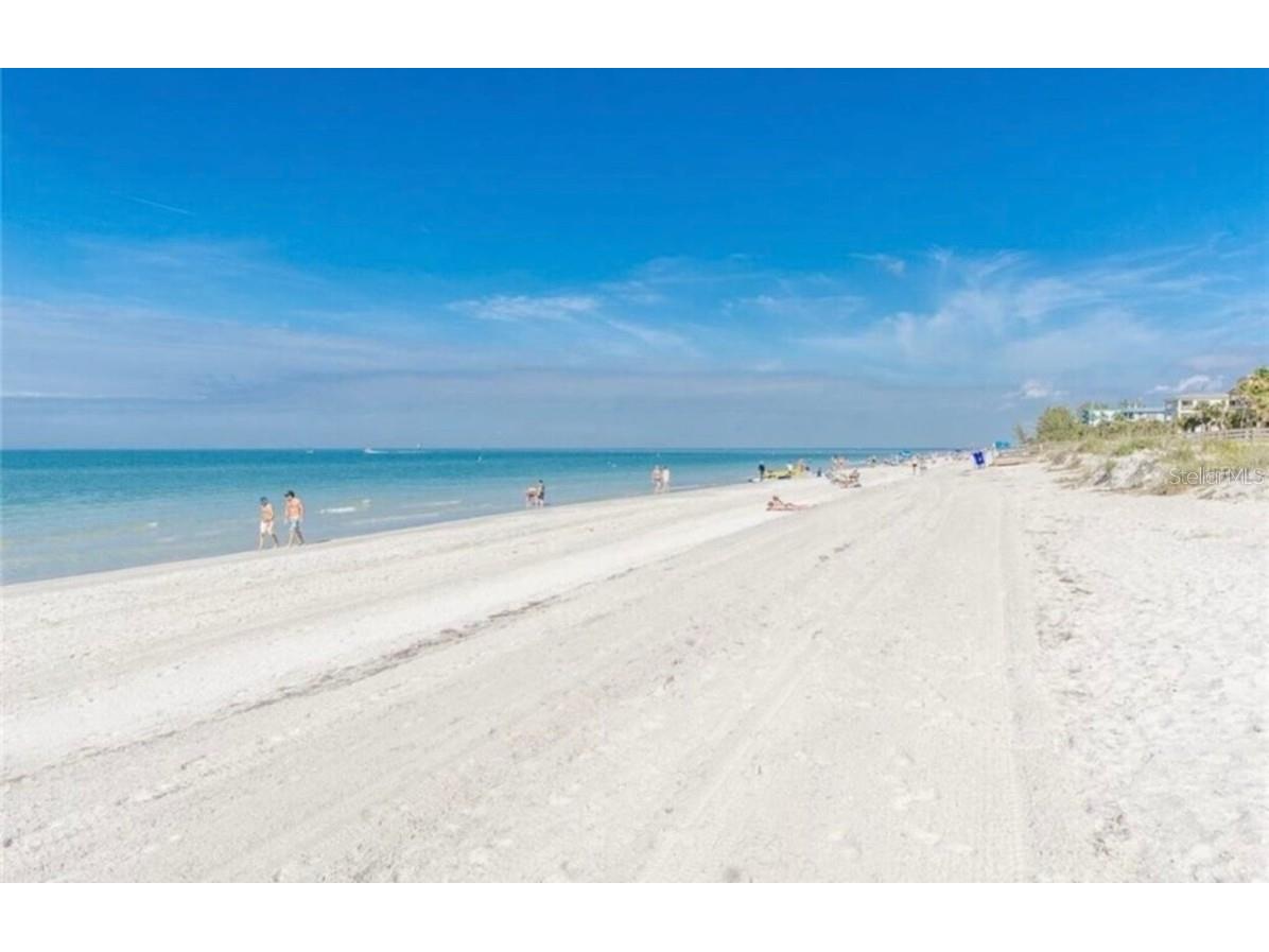 19823 Gulf Boulevard #42 Indian Shores FL 33785 TB8368348 image25