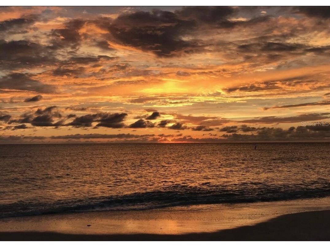 19823 Gulf Boulevard #42 Indian Shores FL 33785 TB8368348 image26