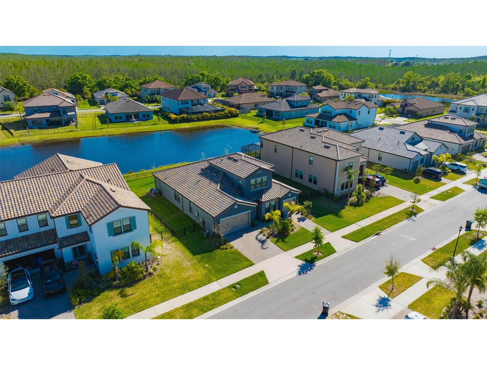 19828 Cypress Bridge Odessa FL 33556 TB8484224 image10