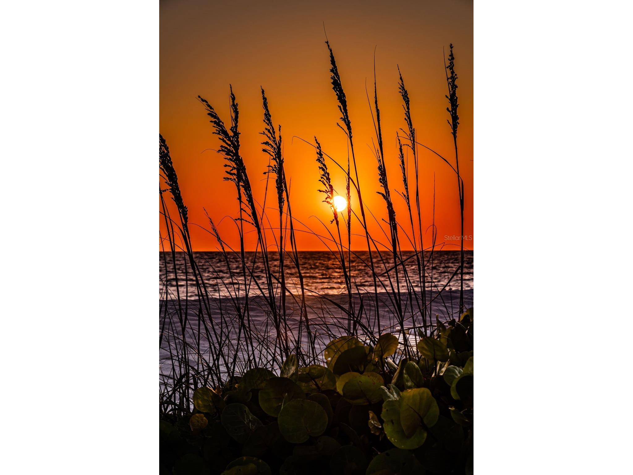 19829 Gulf Boulevard #501 Indian Shores FL 33785 TB8513481 image36