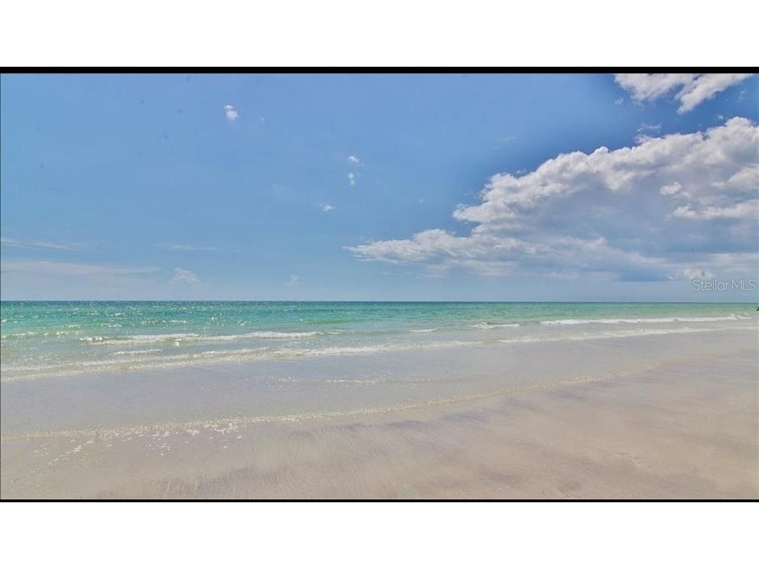 19829 Gulf Boulevard #601 Indian Shores FL 33785 TB8364386 image65