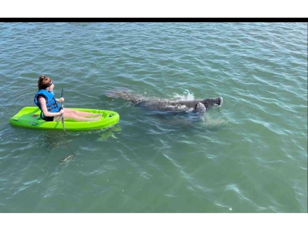 19829 Gulf Boulevard #601 Indian Shores FL 33785 TB8364386 image69