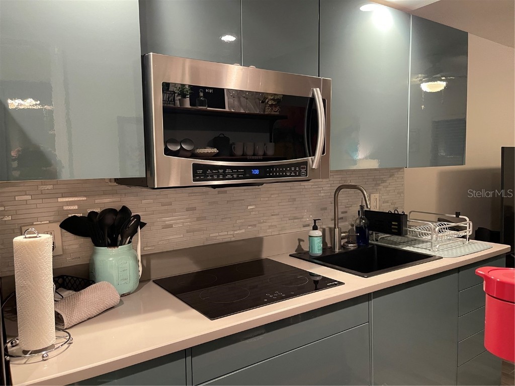 1983 Abrico Drive #5 Lutz FL 33558 W7881228 image12