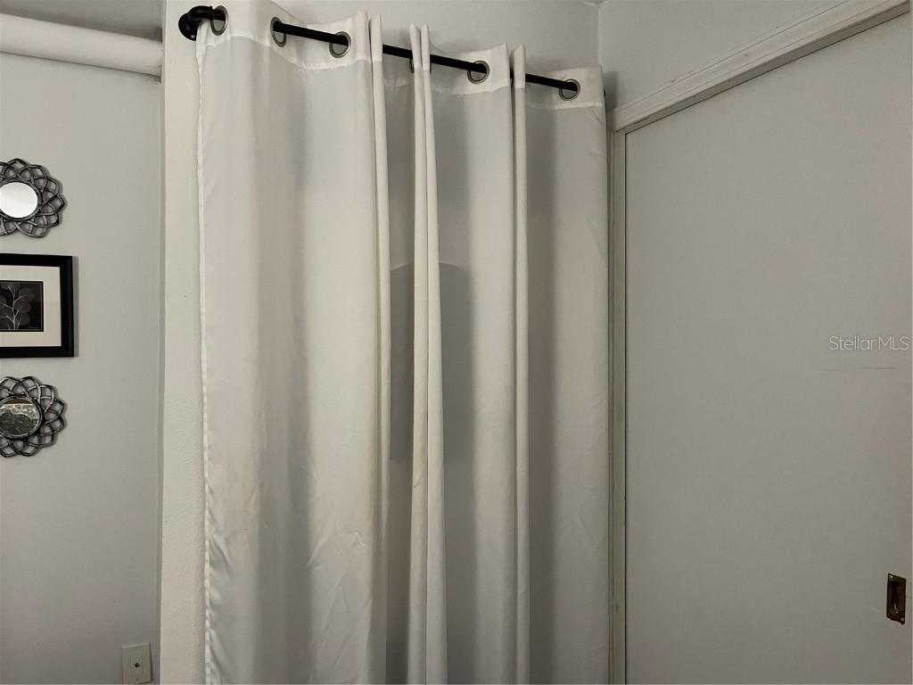 1983 Abrico Drive #5 Lutz FL 33558 W7881228 image18