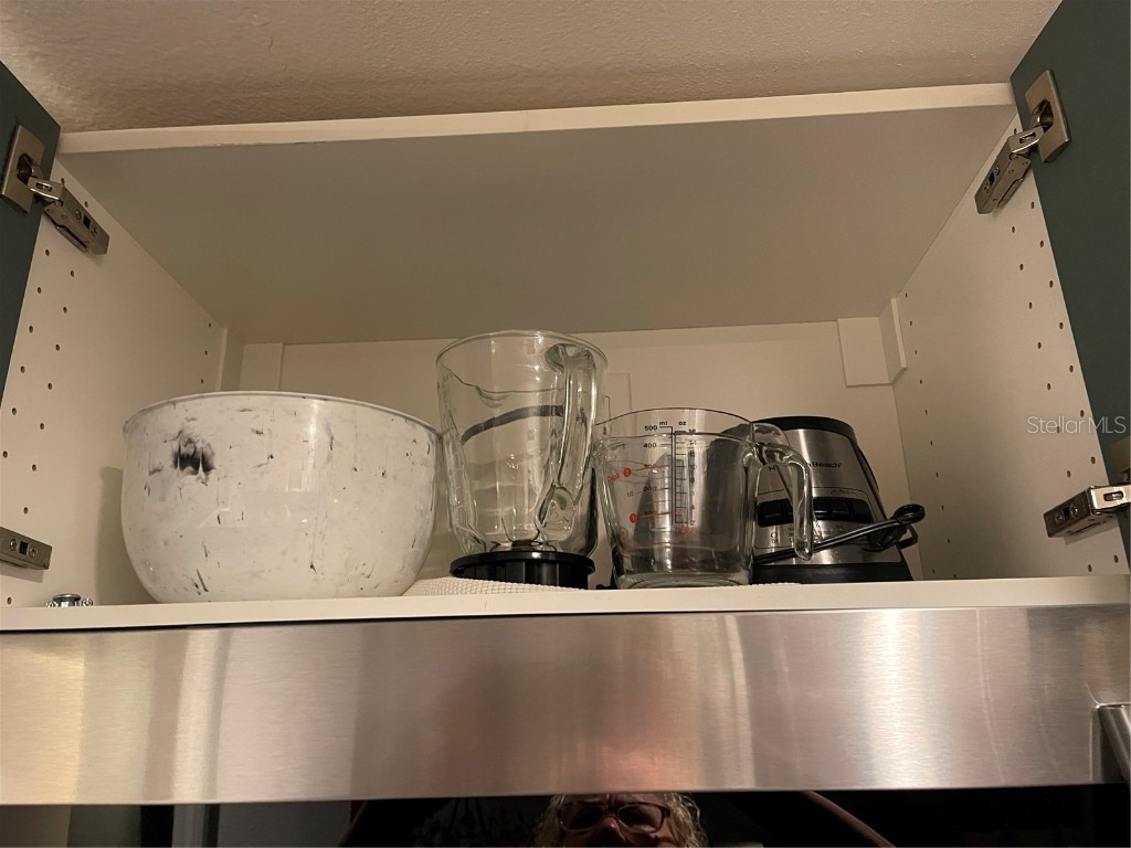 1983 Abrico Drive #5 Lutz FL 33558 W7881228 image27