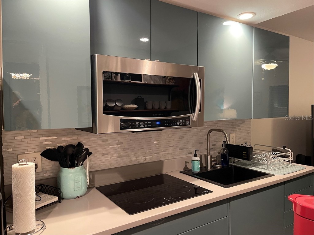 1983 Abrico Drive #5 Lutz FL 33558 W7881228 image3