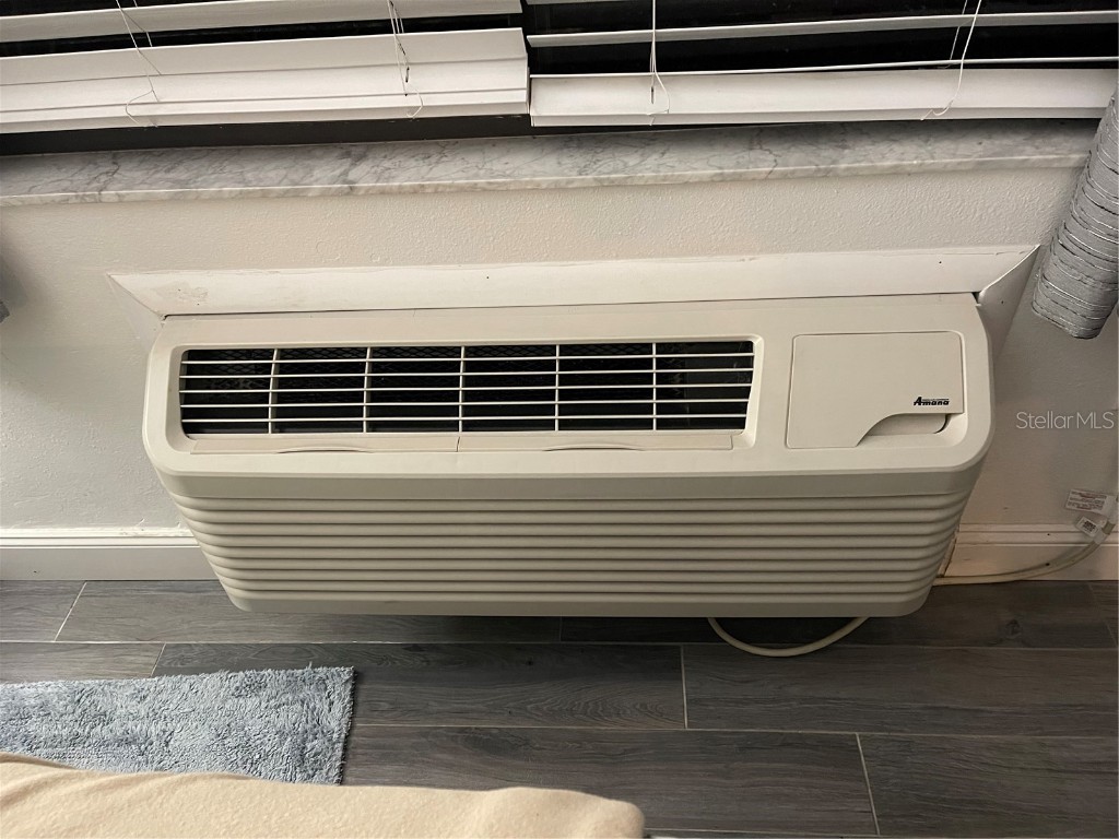 1983 Abrico Drive #5 Lutz FL 33558 W7881228 image35