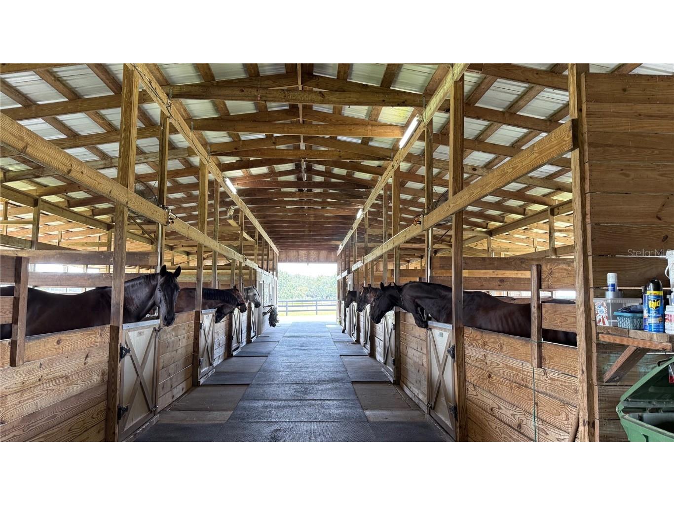 19830 SE 15th Place Morriston FL 32668 OM705690 image27