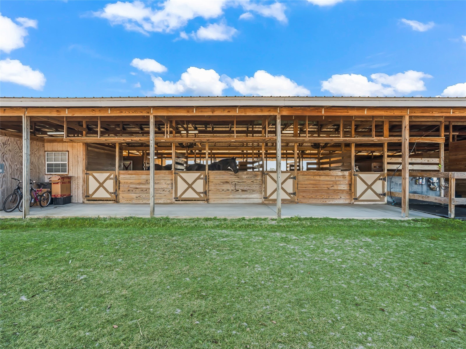 19830 SE 15th Place Morriston FL 32668 OM718146 image28
