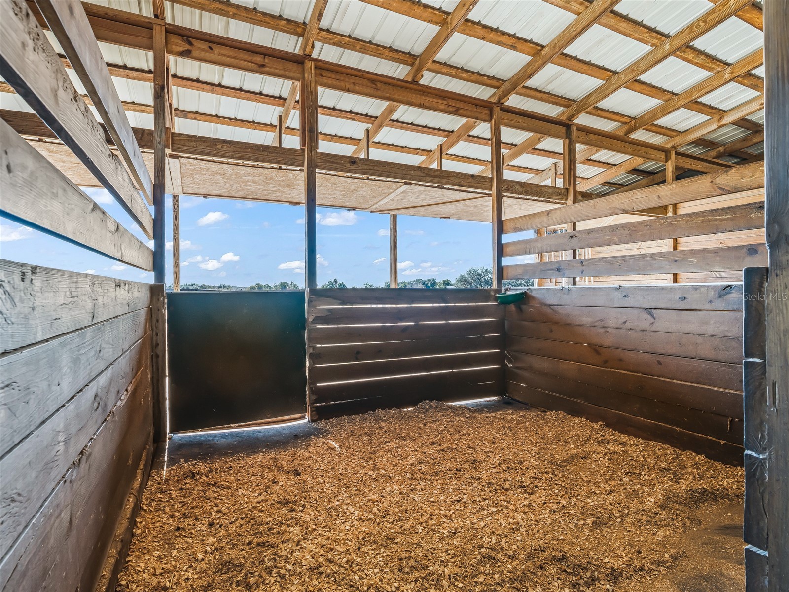 19830 SE 15th Place Morriston FL 32668 OM718146 image39