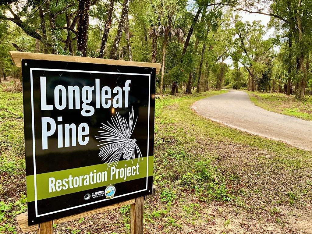 19831 SW Nightingale Drive Dunnellon FL 34431 GC526243 image46