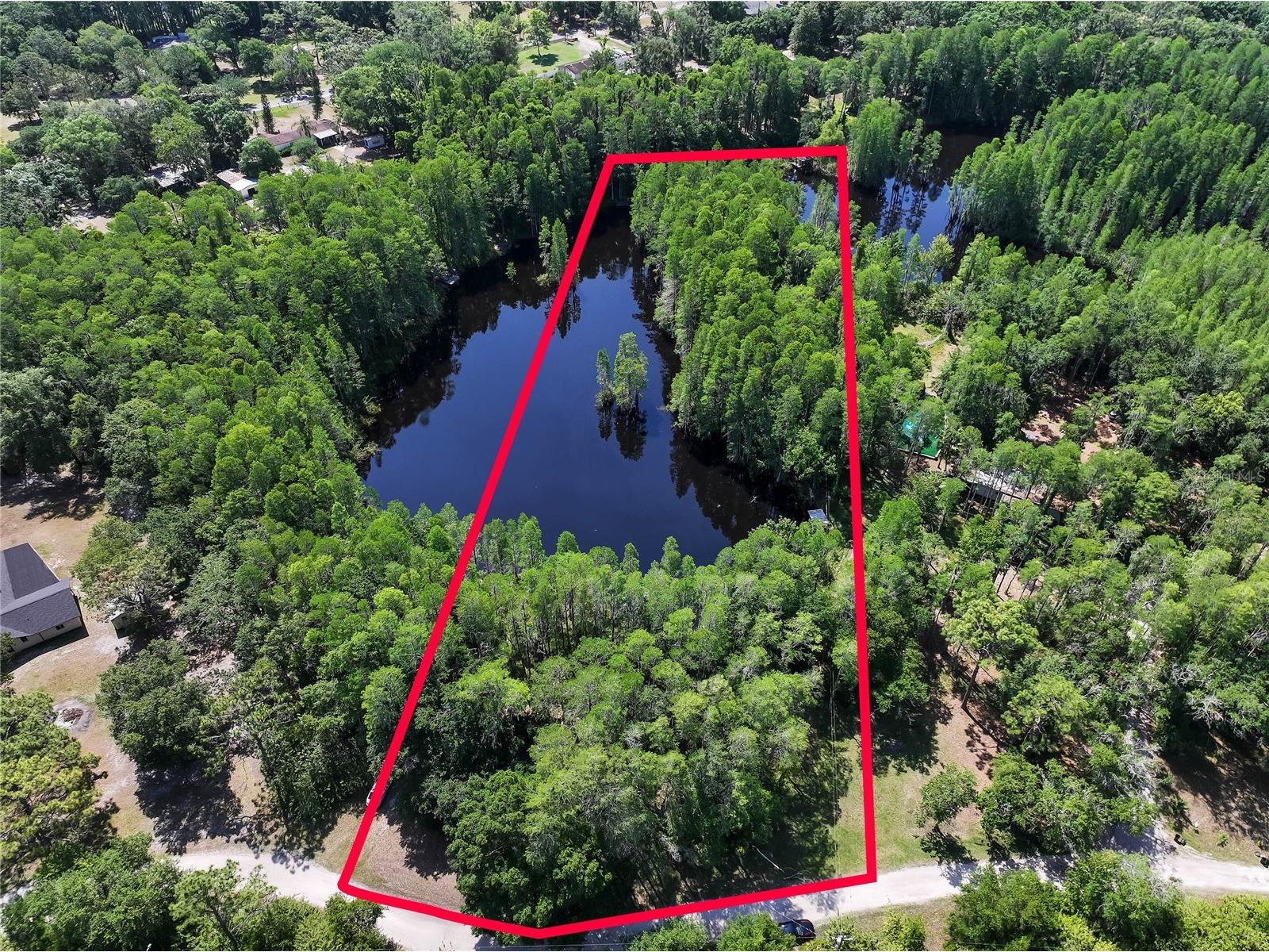 19832 Westwood Lane Land O Lakes FL 34638 O6329356 image1