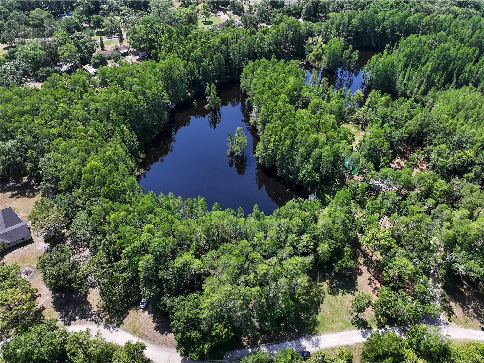 19832 Westwood Lane Land O Lakes FL 34638 O6329356 image10