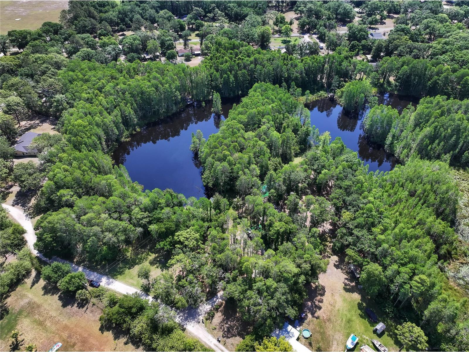 19832 Westwood Lane Land O Lakes FL 34638 O6329356 image11